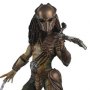 Predators: Falconer Predator