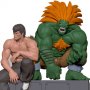 Street Fighter: Fei & Blanka 2-SET