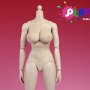Bodies: Female Pale Body 2.0 D Cup