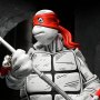 First Turtles Black & White Mirage Comics 2-PACK