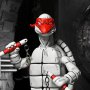 First Turtles Black & White Mirage Comics 2-PACK