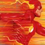 DC Comics: Flash (Doaly)