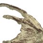 Fossilized Creature Hand