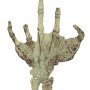 Fossilized Creature Hand
