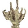 Fossilized Creature Hand