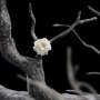 Fountain Guard Of The White Tree