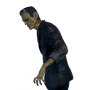 Universal Studios Classic Monsters: Frankenstein