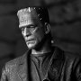 Frankenstein's Monster B&W Ultimate