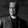 Frankenstein's Monster B&W Ultimate