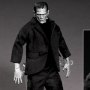 Universal Studios Classic Monsters: Frankenstein