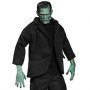Universal Studios Classic Monsters: Frankenstein Color (Previews)