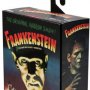Frankenstein’s Monster Color Ultimate