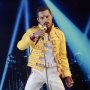 Freddie Mercury (Rock Band King)