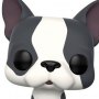 Pets: French Bulldog Gray And White Pop! Vinyl