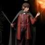 Frodo Baggins