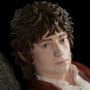 Frodo Baggins