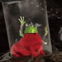 Frog Of Thunder Master Craft