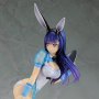 Sword & Wizards-The Emperor Of Sword & Seven Lady Knights: Fuyuka Yukishiro Bunny