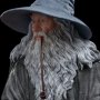 Gandalf And Frodo Masters Collection