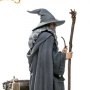 Gandalf Deluxe