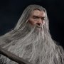 Gandalf Deluxe (Grey Wizard)