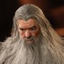 Gandalf Deluxe (Grey Wizard)