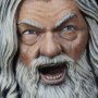 Gandalf In Moria