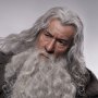 Gandalf The Grey