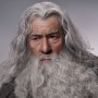 Gandalf The Grey