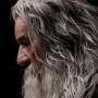 Gandalf The Grey