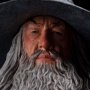 Gandalf The Grey Mini