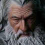 Gandalf The Grey Ultimate