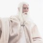 Gandalf The White & Shadowfax Crown Series