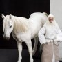 Gandalf The White & Shadowfax Crown Series