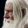 Gandalf The White & Shadowfax Crown Series