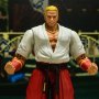 Geese Howard