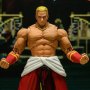 Geese Howard