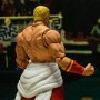 Geese Howard