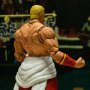 Geese Howard