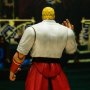 Geese Howard