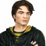 Cedric Diggory (studio)