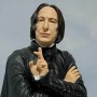 Professor Snape (realita)