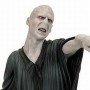 Harry Potter: Voldemort