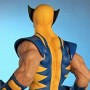 Wolverine (studio)