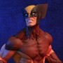 Wolverine Brown (studio)