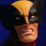 Wolverine Brown (studio)