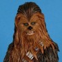 Chewbacca (realita)