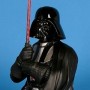 Darth Vader 2 (realita)