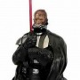 Star Wars: Darth Vader 2 (Entertainment Earth)