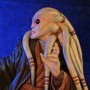 Star Wars: Kit Fisto